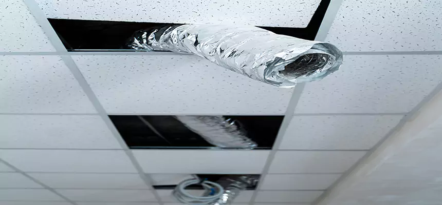 Affordable HVAC Sanitizing After Pest Removal in Cedar Hill