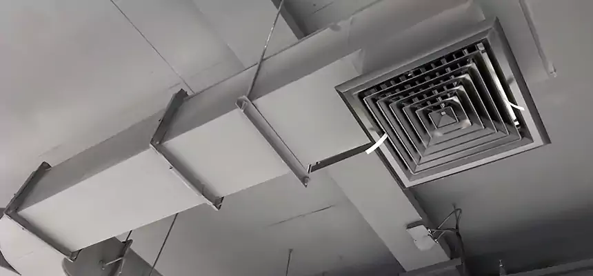 Restorative Allergy Relief Vent Cleaning – Coil, Blower & Housing Detail in Cedar Hill