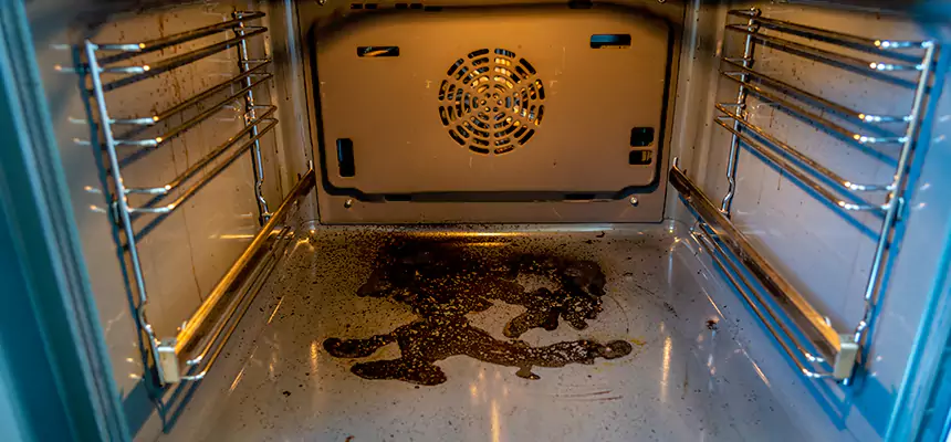 Our Dryer Vent Mold Cleaning Services in Cedar Hill, TX