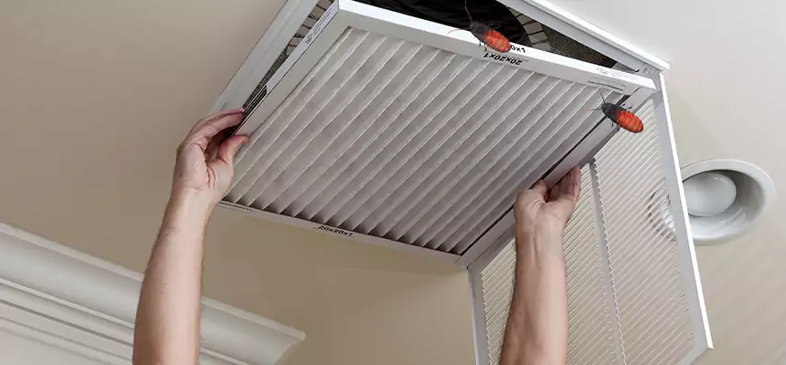 Our Insect Removal from Air Ducts Services in Cedar Hill, TX