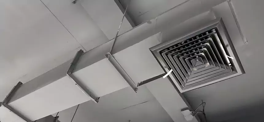 Our Rodent Droppings In Vents Services in Cedar Hill, TX