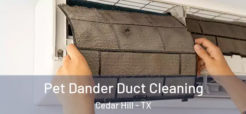  Pet Dander Duct Cleaning Cedar Hill - TX