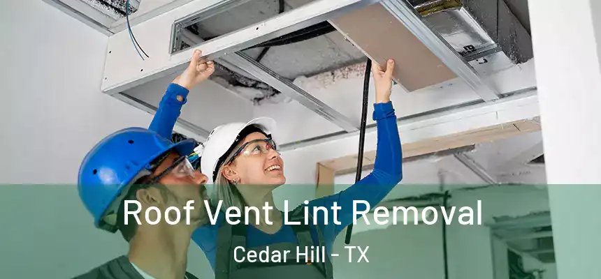  Roof Vent Lint Removal Cedar Hill - TX