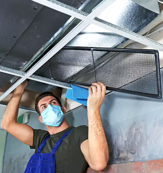 About Air Duct Bacteria Removal in Cedar Hill