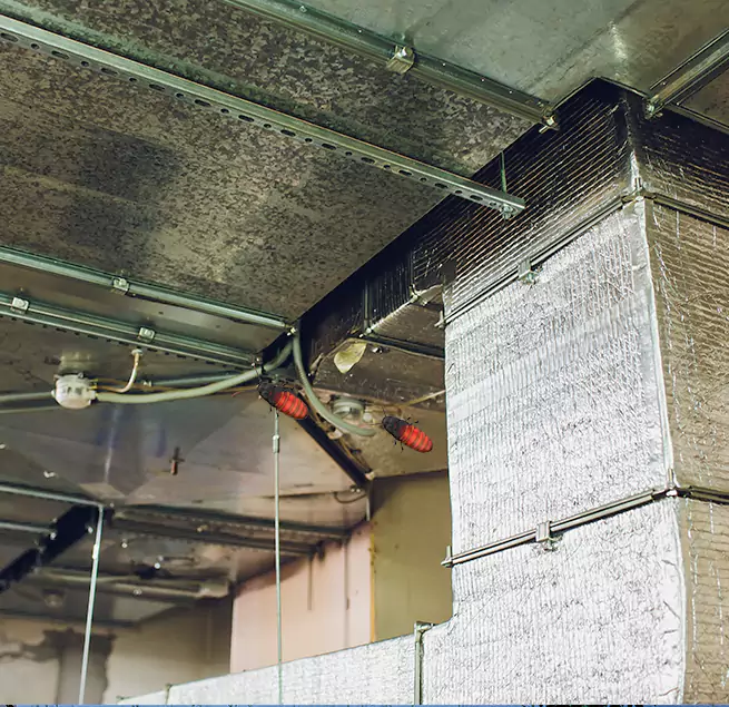 Why Homeowners & Businesses Trust Us in Cedar Hill, TX?